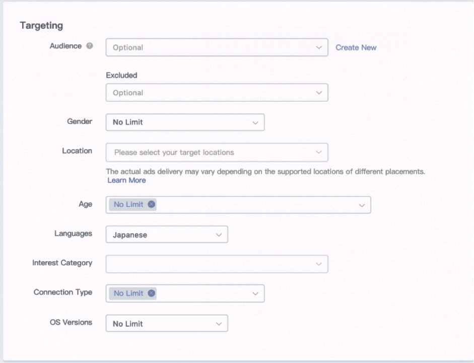 TikTok reklam modeli 